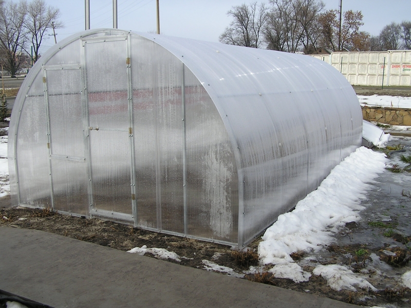 Теплица из поликарбоната Теплица из поликарбоната