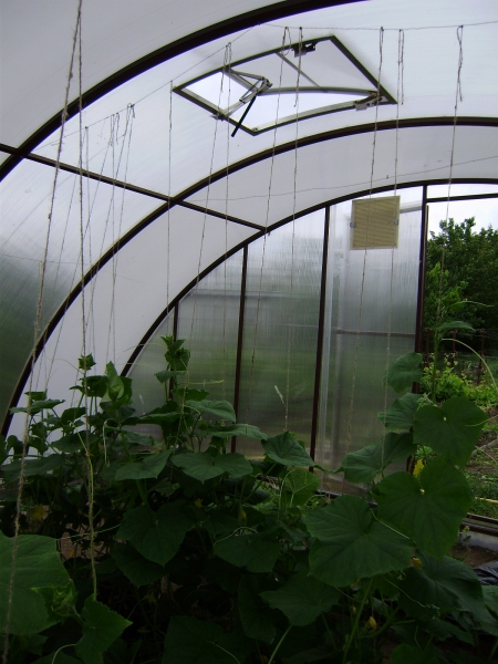 Теплица из поликарбоната Теплица из поликарбоната