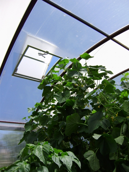 Верхняя фрамуга Верхняя фрамуга