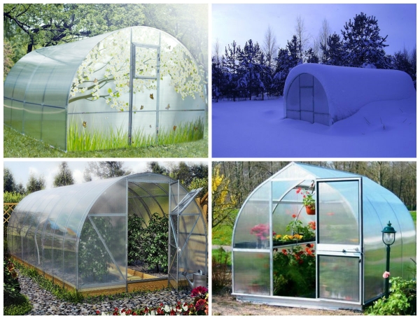 Теплицы из поликарбоната Теплицы из поликарбоната