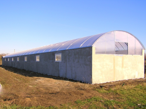 Теплица из поликарбоната Теплица из поликарбоната