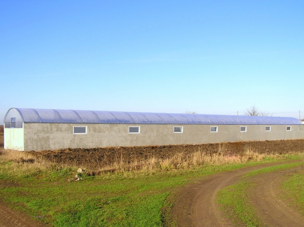 Теплица из поликарбоната Теплица из поликарбоната