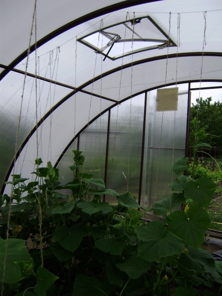 теплица из поликарбоната