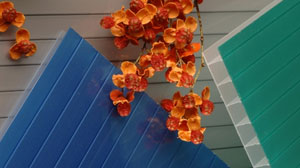 Сотовый поликарбонат Polygal