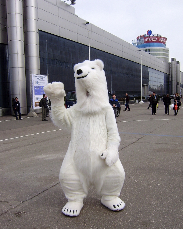 Встреча гостей выставки Встреча гостей выставки